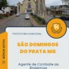 Apostila Agente de Combate as Endemias Prefeitura de São Domingos do Prata MG 2025