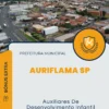 Apostila Auxiliares De Desenvolvimento Infantil Prefeitura de Auriflama SP 2024