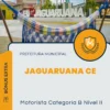 Apostila Motorista Categoria B Nível II Prefeitura de Jaguaruana CE 2024