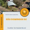 Apostila Auxiliar De Saúde Bucal Prefeitura de São Domingos SC 2024