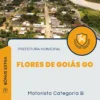 Apostila Motorista Categoria B Prefeitura de Flores de Goiás GO 2025