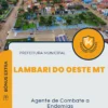 Apostila Agente de Combate a Endemias Prefeitura de Lambari do Oeste MT 2025