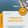 Apostila Encarregado do Setor de Recursos Humanos Câmara de Igarapava SP 2025