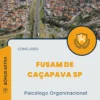 Apostila Psicólogo Organizacional Concurso FUSAM de Caçapava SP 2025