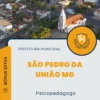 Apostila Psicopedagogo Prefeitura de São Pedro da União MG 2025