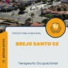 Apostila Terapeuta Ocupacional Prefeitura de Brejo Santo CE 2025