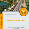 Apostila Agente de Organização Escolar Processo Seletivo Diretoria de Ensino de Jaboticabal SP 2025