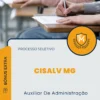 Apostila Auxiliar De Administração Processo Seletivo CISALV MG 2025