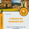 Apostila Técnico em Segurança do Trabalho Concurso Câmara de Mariana MG 2025