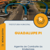 Apostila Agente de Combate às Endemias Prefeitura de Guadalupe PI 2025