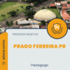 Apostila Pedagogo Processo Seletivo Prado Ferreira PR 2025