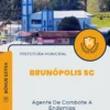 Apostila Agente De Combate A Endemias Prefeitura de Brunópolis SC 2025