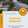 Apostila Agente De Combate À Endemias Prefeitura de Barra do Bugres MT 2025