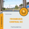 Apostila Farmacêutico Prefeitura de Trombudo Central SC 2025