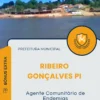 Apostila Agente Comunitário de Endemias Prefeitura de Ribeiro Gonçalves PI 2025