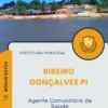 Apostila Agente Comunitário de Saúde Prefeitura de Ribeiro Gonçalves PI 2025