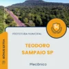 Apostila Mecânico Prefeitura de Teodoro Sampaio SP 2025