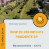 Apostila Recepcionista CAPS Processo Seletivo CIOP de Presidente Prudente SP 2025