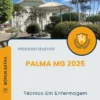 Apostila Técnico Em Enfermagem Prefeitura de Palma MG 2025