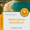Apostila Professor Peb I Prefeitura de Boracéia SP 2025