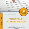 Apostila Agente Comunitário de Saúde Prefeitura de Pitangui MG 2025