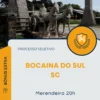 Apostila Merendeira 20h Prefeitura de Bocaina do Sul SC 2025