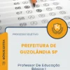 Apostila Professor De Educação Básica I Prefeitura de Guzolândia SP 2025