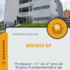 Apostila Professor I 1 ao 5 ano do Ensino Fundamental e de Educação de Jovens e Adultos EJA Prefeitura de Birigui SP 2025