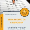 Apostila Professor de Educação Básica II 1 Ao 5 Ano Prefeitura de Bernardino de Campos SP 2025