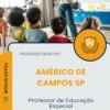 Apostila Professor de Educação Especial Prefeitura de Américo de Campos SP 2025