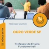 Apostila Professor de Ensino Fundamental I Prefeitura de Ouro Verde SP 2025