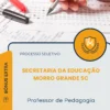 Apostila Professor de Pedagogia Secretaria da Educação Morro Grande SC 2025