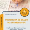Professor Séries Iniciais e educação infantil