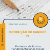 Apostila Professor de Ensino Fundamental anos inicias Prefeitura de Conceição do Canindé PI 2026