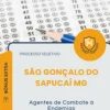 Apostila Agentes de Combate à Endemias Prefeitura de São Gonçalo do Sapucaí MG 2026
