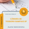 Apostila Auxiliar Administrativo Câmara de Teodoro Sampaio SP 2026
