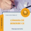 Apostila Recepcionista Câmara de Beberibe CE 2026