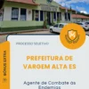 Apostila Agente de Combate às Endemias Prefeitura de Vargem Alta ES 2026