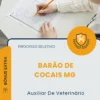 Apostila Auxiliar De Veterinário Prefeitura de Barão de Cocais MG 2026