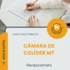Apostila Recepcionista Câmara de Colíder MT 2026