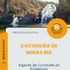 Apostila Agente de Combate às Endemias Prefeitura de Cachoeira de Minas MG 2026