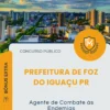 Apostila Agente de Combate às Endemias Prefeitura de Foz do Iguaçu PR 2026