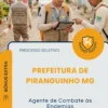Apostila Agente de Combate às Endemias Prefeitura de Piranguinho MG 2026