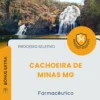 Apostila Farmacêutico Prefeitura de Cachoeira de Minas MG 2026