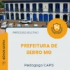 Apostila Pedagogo CAPS Prefeitura de Serro MG 2026