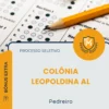 Apostila Pedreiro Prefeitura de Colônia Leopoldina AL 2026