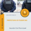 Apostila Guarda Civil Municipal Prefeitura de Piumhi MG 2026