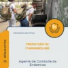 Apostila Agente de Combate às Endemias Prefeitura de Itanhandu MG 2026