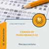 Apostila Recepcionista Câmara de Pedra Branca CE 2026