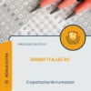 Apostila Capatazia/Arrumador Processo Seletivo OGMO Itajaí SC 2026